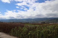 IMG_3597_ergebnis