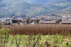 IMG_3598_ergebnis