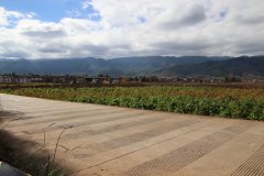 IMG_3605_ergebnis