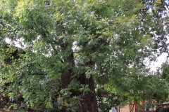 IMG_3613_ergebnis