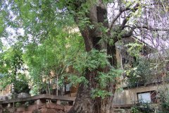 IMG_3614_ergebnis