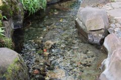 IMG_3616_ergebnis