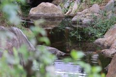 IMG_3620_ergebnis