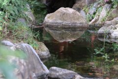 IMG_3623_ergebnis