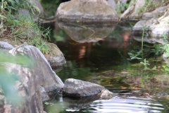 IMG_3624_ergebnis
