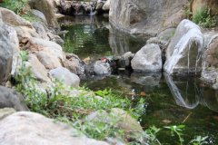 IMG_3633_ergebnis