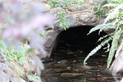 IMG_3635_ergebnis
