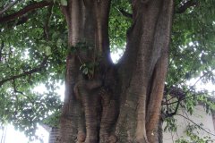 IMG_3656_ergebnis