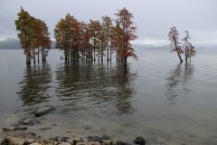 IMG_3702_ergebnis