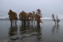 IMG_3703_ergebnis