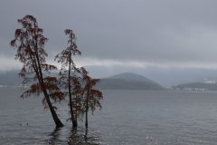 IMG_3704_ergebnis