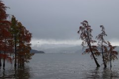 IMG_3705_ergebnis