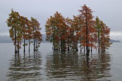IMG_3706_ergebnis