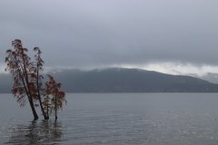 IMG_3708_ergebnis