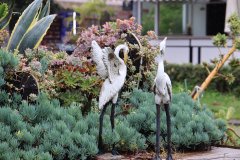 IMG_3710_ergebnis