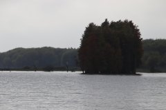 IMG_3712_ergebnis
