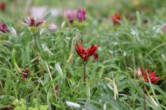 IMG_3721_ergebnis