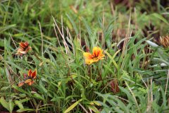IMG_3722_ergebnis