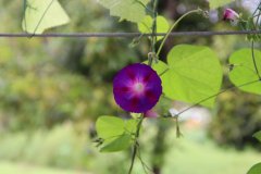 IMG_3724_ergebnis