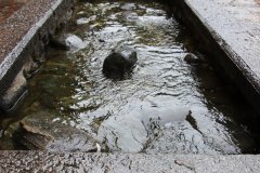 IMG_3729_ergebnis
