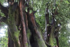 IMG_3745_ergebnis