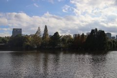 IMG_3764_ergebnis