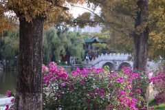 IMG_3767_ergebnis