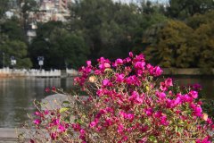 IMG_3768_ergebnis