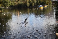 IMG_3780_ergebnis