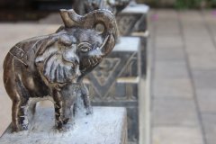 IMG_3784_ergebnis