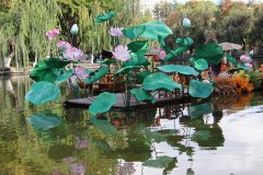 IMG_3787_ergebnis