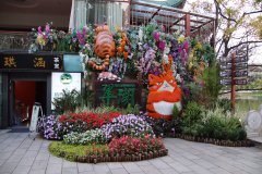 IMG_3791_ergebnis