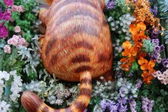 IMG_3793_ergebnis