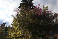 IMG_3796_ergebnis