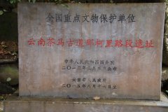 IMG_3828_ergebnis