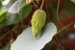 IMG_3841_ergebnis