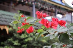 IMG_3852_ergebnis