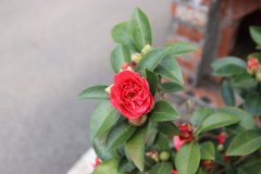 IMG_3853_ergebnis