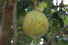 IMG_3856_ergebnis