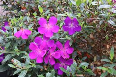 IMG_3863_ergebnis