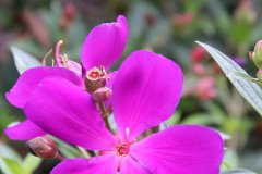 IMG_3864_ergebnis