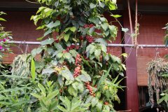 IMG_3865_ergebnis