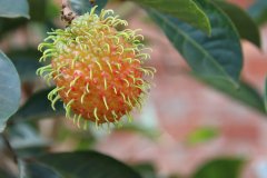 IMG_3866_ergebnis