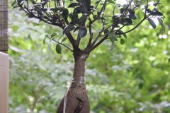 IMG_3867_ergebnis