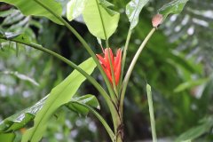 IMG_3873_ergebnis