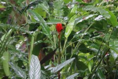 IMG_3874_ergebnis