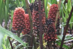 IMG_3875_ergebnis