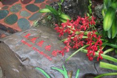 IMG_3877_ergebnis