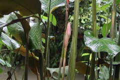 IMG_3881_ergebnis