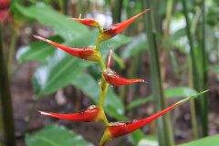 IMG_3882_ergebnis